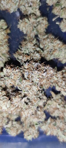 IMG_20250715_182737