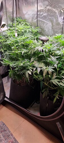 Growreport Bild 18
