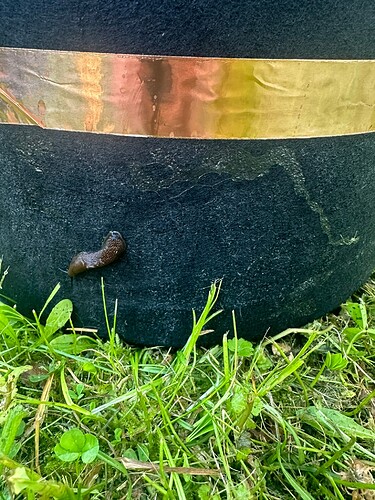 Growreport Bild 4