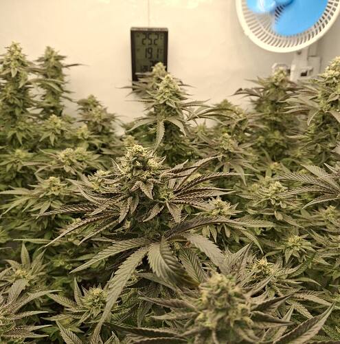 479179558_122168106806293599_4325852670493971209_n