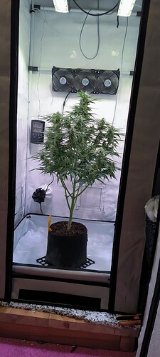 Growreport Bild 3