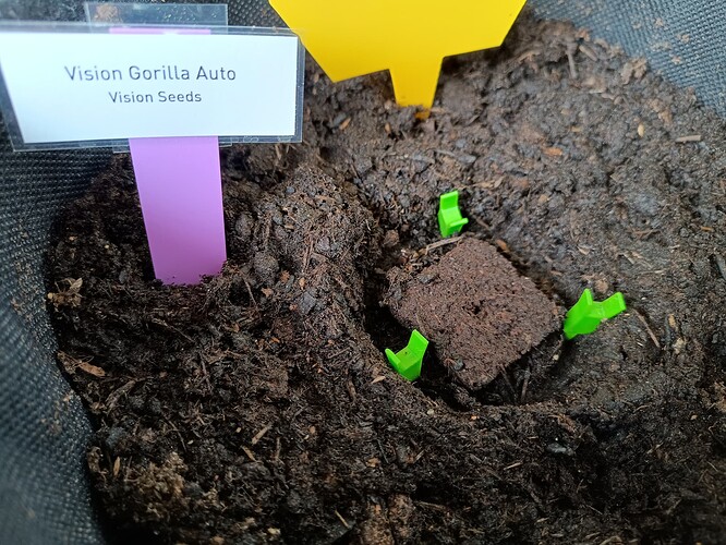 IMG_20240410_124909579_HDR