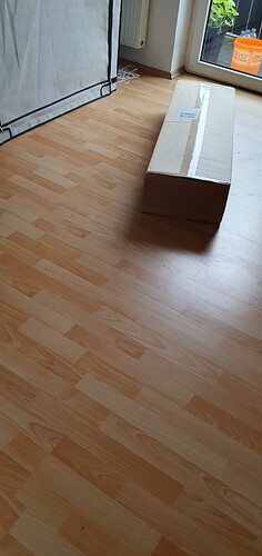 foto_no_exif