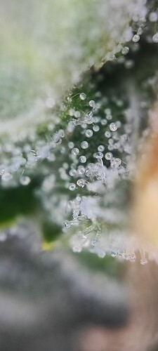 Growreport Bild 23