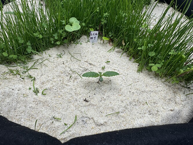 Growreport Bild 9