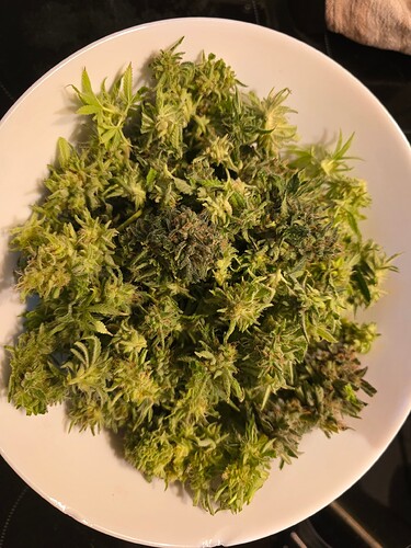 Growreport Bild 5