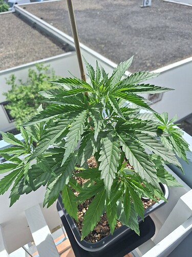 Growreport Bild 12