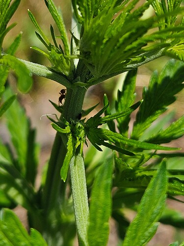 Growreport Bild 16