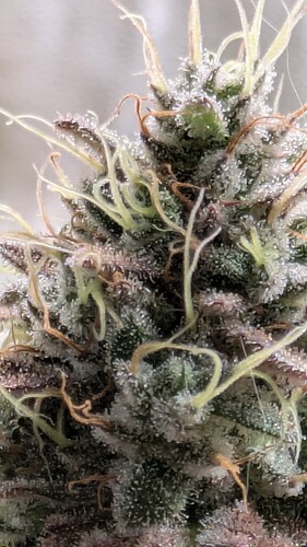 PXL_20250101_123529591