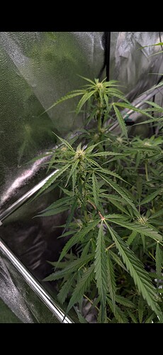 Screenshot_20241013-030454