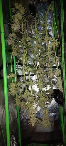 Growreport Bild 3