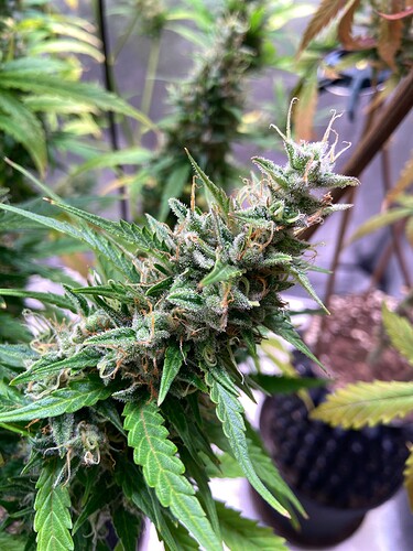 Growreport Bild 6