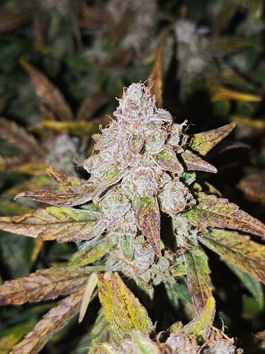 MVIMG_20251128_150212