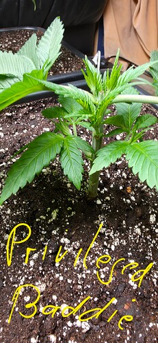 Growreport Bild 16