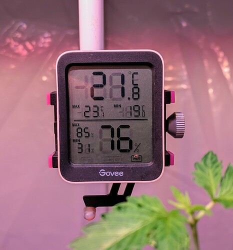 1000023240