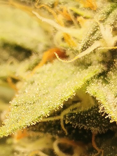 Growreport Bild 12