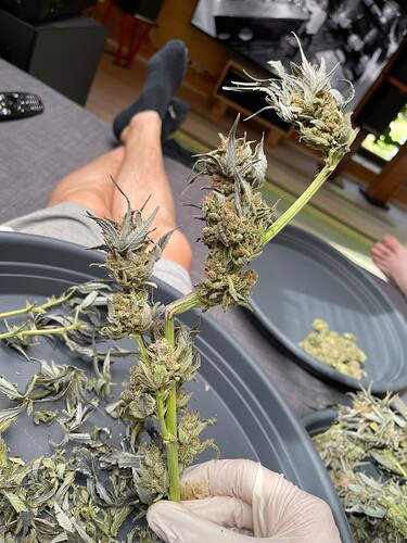 Growreport Bild 4
