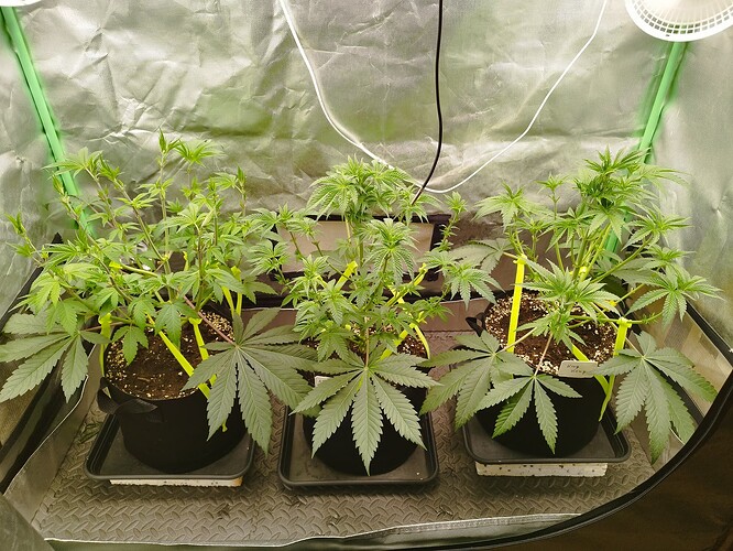 Growreport Bild 9
