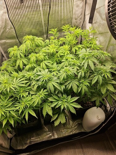 WhatsApp Bild 2024-05-05 um 08.00.47_2f32a282