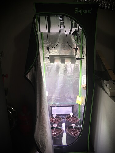 Growreport Bild 3