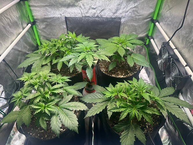 Growreport Bild 7