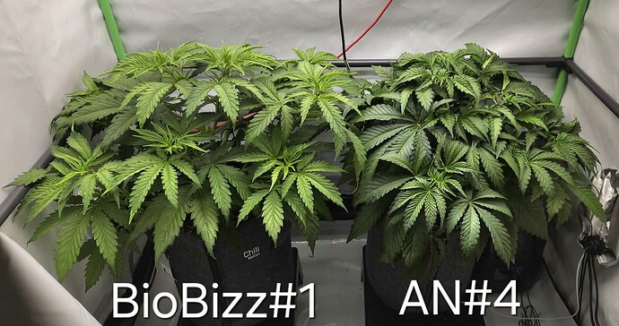 Growreport Bild 21