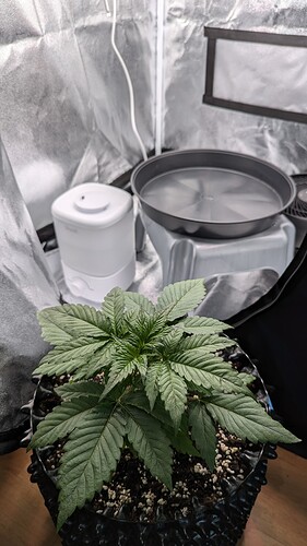 PXL_20240715_161922640