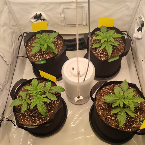 Growreport Bild 13