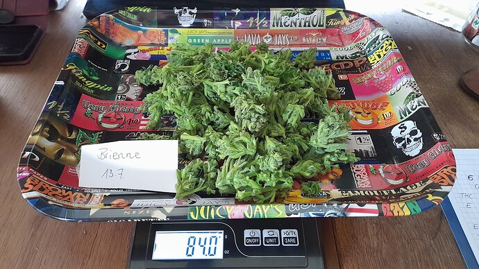 Growreport Bild 2