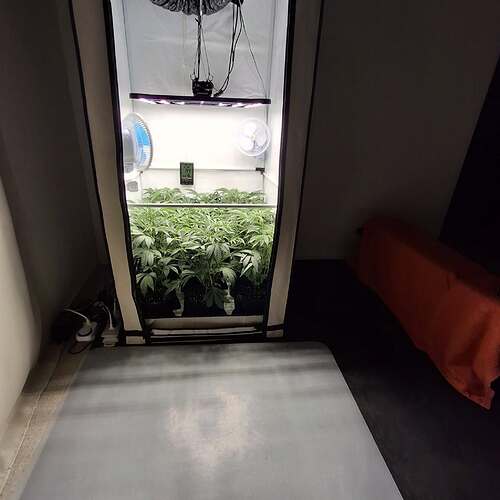 Growreport Bild 24