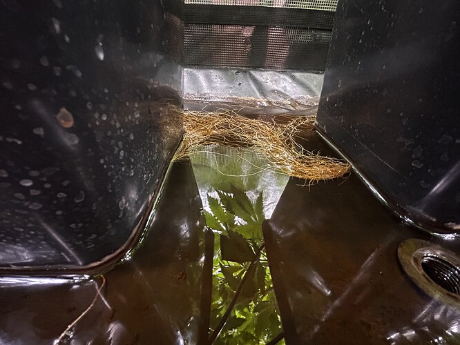 Growreport Bild 6