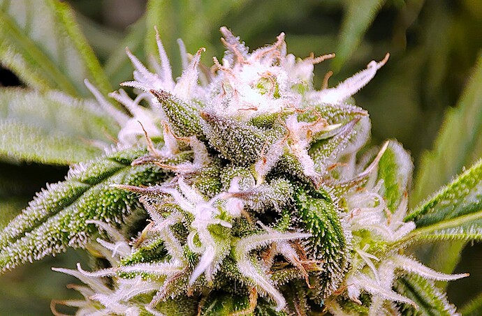 Growreport Bild 22