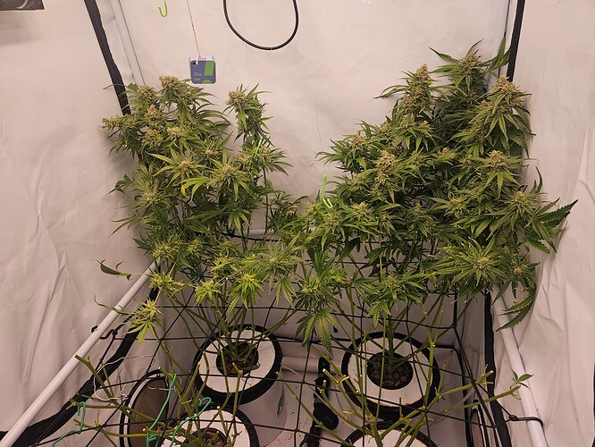 Growreport Bild 16