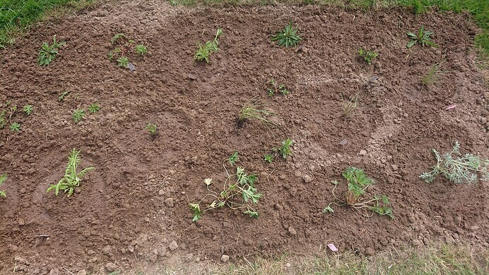 Growreport Bild 10