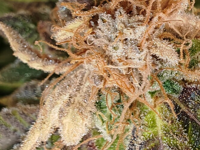 Growreport Bild 12