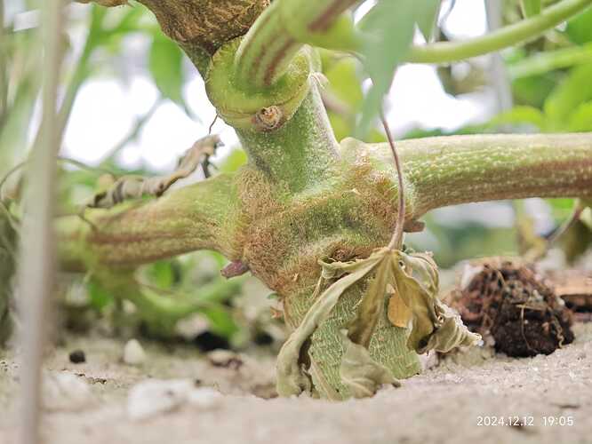 Growreport Bild 20