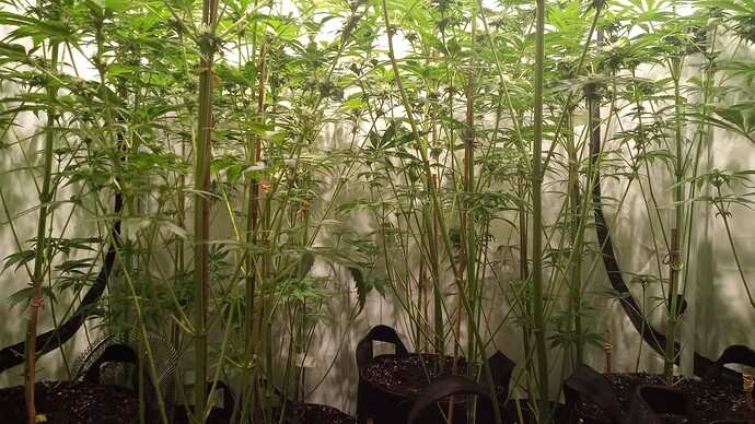 Growreport Bild 20
