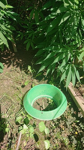 Growreport Bild 22