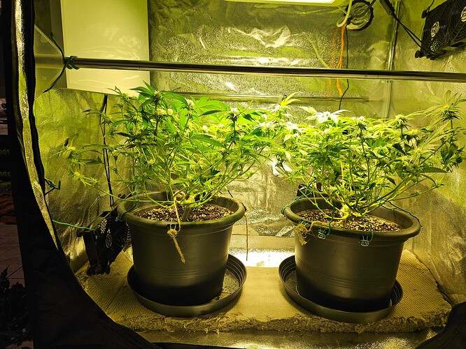 Growreport Bild 8