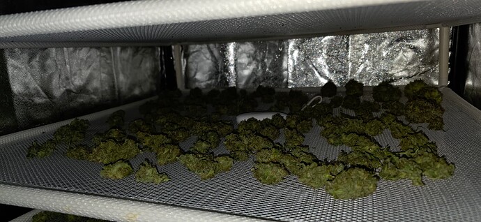 Growreport Bild 7