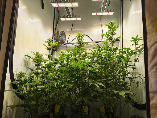 Growreport Bild 5