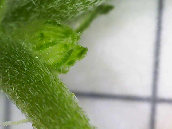 Image_2025-04-25 08_55_56_098