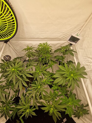 Growreport Bild 24