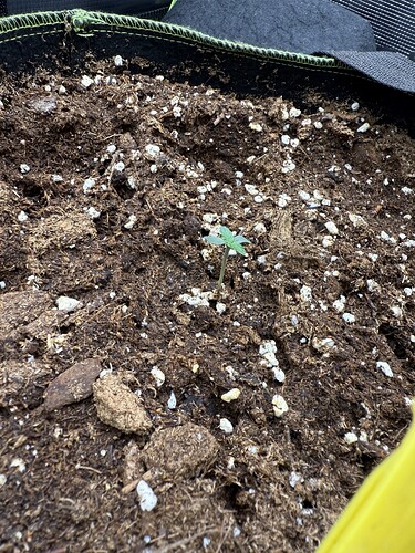 Growreport Bild 5