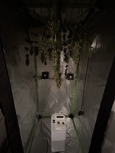 Growreport Bild 6