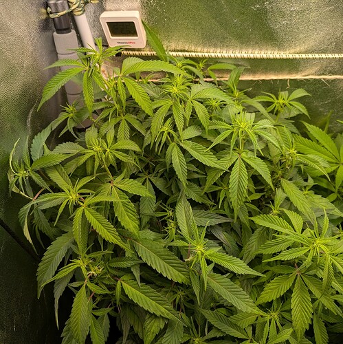 Growreport Bild 12
