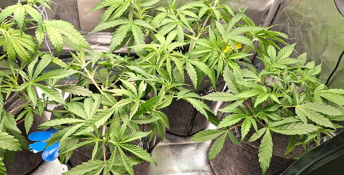 Growreport Bild 10