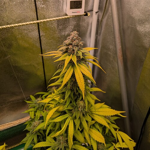 Growreport Bild 6