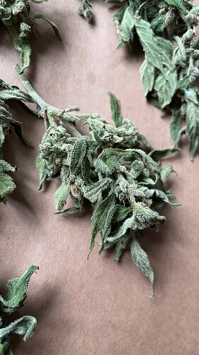 4ee2ff66-c2b5-45df-9152-ceff0f8603ac