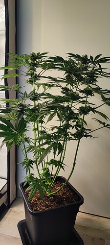 Growreport Bild 14
